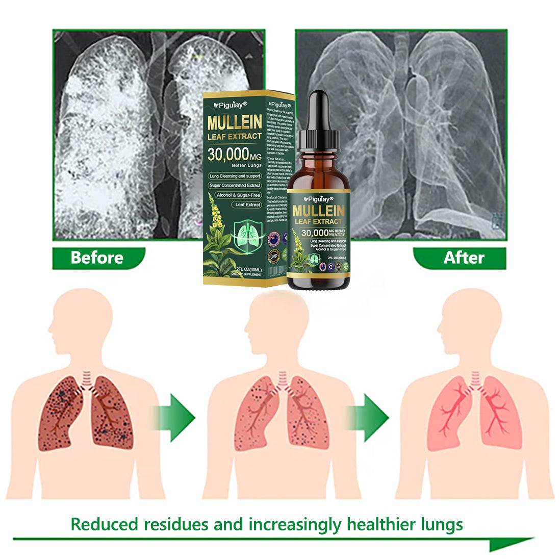 𝗢𝗳𝗳𝗶𝗰𝗶𝗮𝗹 | CareRegen® 𝗢𝗿𝗴𝗮𝗻𝗶𝗰 𝗟𝘂𝗻𝗴 𝗖𝗹𝗲𝗮𝗻𝘀𝗶𝗻𝗴 𝗠𝘂𝗹𝗹𝗲𝗶𝗻 𝗟𝗲𝗮𝗳 𝗘𝘅𝘁𝗿𝗮𝗰𝘁 𝗗𝗿𝗼𝗽𝘀 𝐂𝐥𝐢𝐧𝐢𝐜𝐚𝐥𝐥𝐲 𝐩𝐫𝐨𝐯𝐞𝐧, 𝐡𝐢𝐠𝐡𝐥𝐲 𝐜𝐨𝐧𝐜𝐞𝐧𝐭𝐫𝐚𝐭𝐞𝐝 𝐟𝐨𝐫𝐦𝐮𝐥𝐚 𝐭𝐡𝐚𝐭 𝐫𝐞𝐥𝐢𝐞𝐯𝐞𝐬 𝐜𝐨𝐮𝐠𝐡, 𝐩𝐡𝐥𝐞𝐠𝐦, 𝐚𝐬𝐭𝐡𝐦𝐚 & 𝐂𝐎𝐏𝐃 — 𝐛𝐫𝐞𝐚𝐭𝐡𝐞 𝐞𝐚𝐬𝐢𝐞𝐫, 𝐟𝐚𝐬𝐭𝐞𝐫. 🌬️🍃