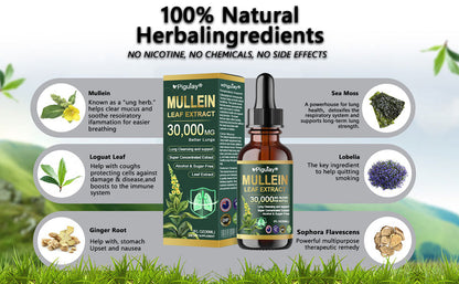 𝗢𝗳𝗳𝗶𝗰𝗶𝗮𝗹 | CareRegen® 𝗢𝗿𝗴𝗮𝗻𝗶𝗰 𝗟𝘂𝗻𝗴 𝗖𝗹𝗲𝗮𝗻𝘀𝗶𝗻𝗴 𝗠𝘂𝗹𝗹𝗲𝗶𝗻 𝗟𝗲𝗮𝗳 𝗘𝘅𝘁𝗿𝗮𝗰𝘁 𝗗𝗿𝗼𝗽𝘀 𝐂𝐥𝐢𝐧𝐢𝐜𝐚𝐥𝐥𝐲 𝐩𝐫𝐨𝐯𝐞𝐧, 𝐡𝐢𝐠𝐡𝐥𝐲 𝐜𝐨𝐧𝐜𝐞𝐧𝐭𝐫𝐚𝐭𝐞𝐝 𝐟𝐨𝐫𝐦𝐮𝐥𝐚 𝐭𝐡𝐚𝐭 𝐫𝐞𝐥𝐢𝐞𝐯𝐞𝐬 𝐜𝐨𝐮𝐠𝐡, 𝐩𝐡𝐥𝐞𝐠𝐦, 𝐚𝐬𝐭𝐡𝐦𝐚 & 𝐂𝐎𝐏𝐃 — 𝐛𝐫𝐞𝐚𝐭𝐡𝐞 𝐞𝐚𝐬𝐢𝐞𝐫, 𝐟𝐚𝐬𝐭𝐞𝐫. 🌬️🍃